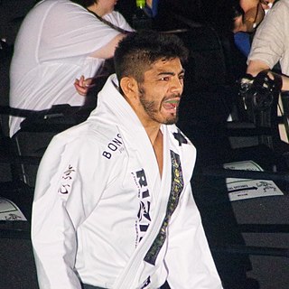 <span class="mw-page-title-main">Roberto de Souza</span> Japanese mixed martial artist