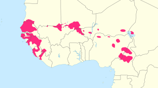 West Atlantic languages Niger–Congo language subgroup of West Africa