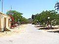 Main avenue of my kibbutz