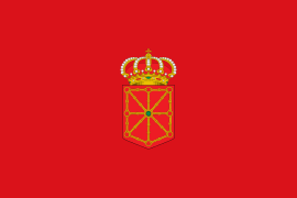 Nafarroako bandera, 1981etik