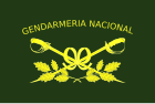 Gendarmeria flag