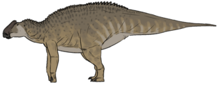 <i>Bonapartesaurus</i> Extinct genus of dinosaurs