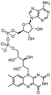 Flavínadeníndinukleotid