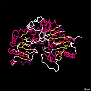 <span class="mw-page-title-main">Flavonol 3-O-glucosyltransferase</span>