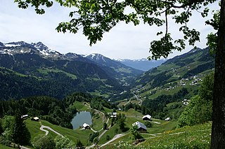 <span class="mw-page-title-main">Großwalsertal</span> Valley in Vorarlberg, Austria