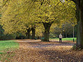 Park Kasprowicza w Szczecinie