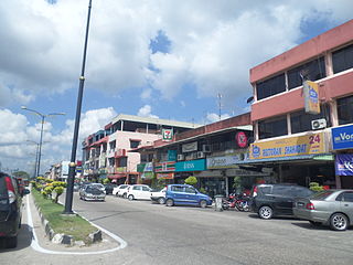 <span class="mw-page-title-main">Pekan Nanas</span> Township in Johor, Malaysia