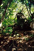 Greben Garnets, Pitcairnov otok