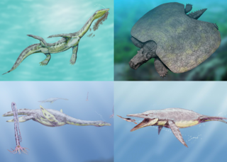 <span class="mw-page-title-main">Sauropterygia</span> Group of Mesozoic aquatic reptiles