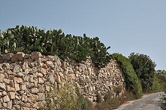 Rubble wall near Dingli, Malta Ta' Dmejrek-IMG 1500.jpg