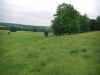 The slope of a prehistoric lynchet at West Dean, West Sussex West Dean lynchet.JPG