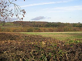 West Spring Wood, ten noorden van Garriston