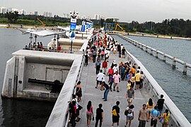 The Marina Bridge