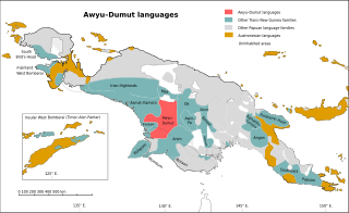 <span class="mw-page-title-main">Greater Awyu languages</span> Language family in Papua