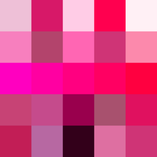 Shades of rose Color between red and magenta plus its shades