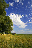 Kiskunsági Nemzeti Park