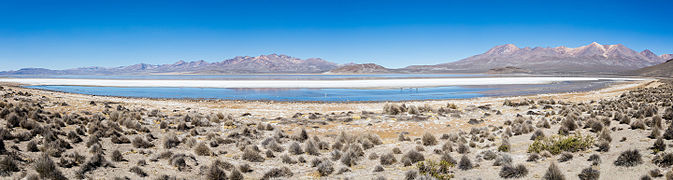 Laguna de Salinas, Arequipa, Perú, 2015-08-02, DD 16-19 PAN