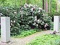 Friedhof Patentbusch in Ofenerdiek