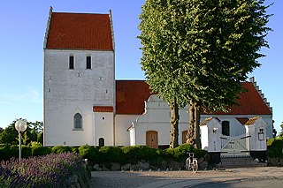 <span class="mw-page-title-main">Otterup</span> Town in Southern Denmark, Denmark