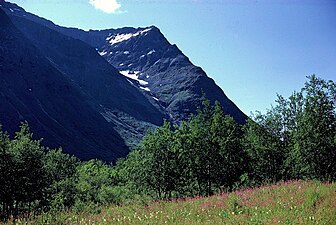 Ängsmark i mittre delen av Rapadalen