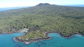 <span class="mw-page-title-main">Rangitoto Island</span> Island in New Zealand