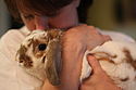 A woman and her rabbit