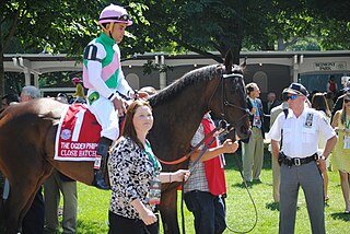 Close Hatches American-bred Thoroughbred racehorse