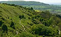 Crickley Hill Country Park