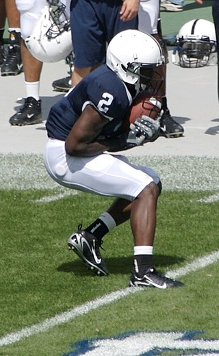 <span class="mw-page-title-main">Derrick Williams (American football)</span> American gridiron football player (born 1986)