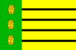 Vlag