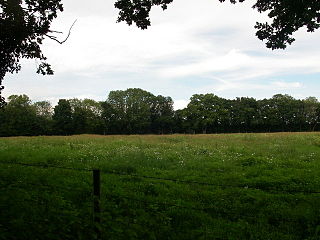 <span class="mw-page-title-main">Frankenbury Camp</span> Iron Age hillfort in Hampshire, England