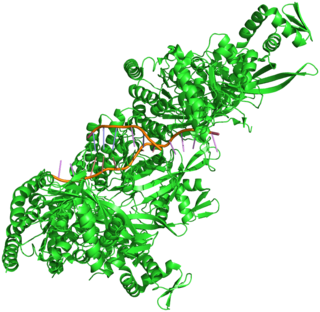 <span class="mw-page-title-main">RecA</span> DNA repair protein