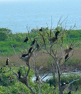 Image illustrative de l’article Lac de Manyas