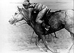 Rider during Naadam festival