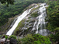 Yakushima (Gizateriaren Ondarea).