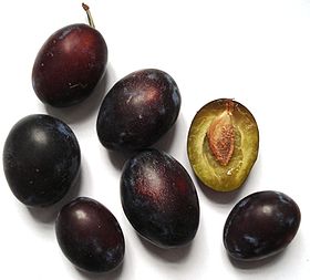 Raw, fresh prune plums that have not been dried into prunes Ortenauer.JPG