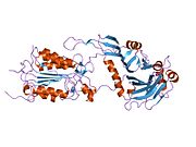 PDB 1i4e EBI.jpg