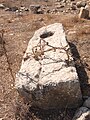 Large slab of stone (wine press?) at Rebbo