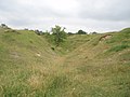 Quarries on Selsley Common