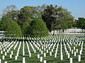 Arlington National Cemetery (2013)