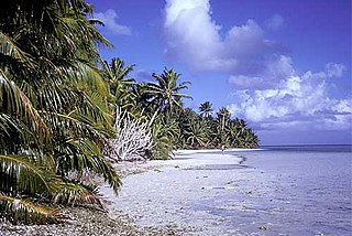 <span class="mw-page-title-main">Caroline Island</span> Coral atoll in Pacific Ocean