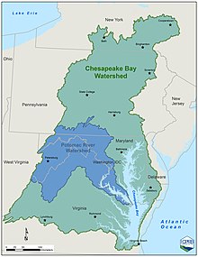 The Potomac basin within the Chesapeake Bay watershed. ChesBay Basins-e1531252370325.jpg