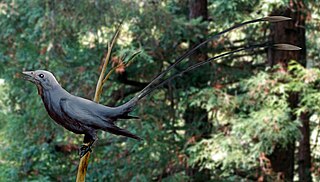 <i>Eoconfuciusornis</i> Extinct genus of birds