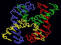 Estrutura molecular dunha unión de Holliday.