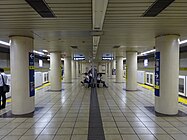 Iidabashi (Yūrakuchō Line), Tokio; Für zahlreiche japanische Stationen typischer gestalterisch schlichter Entwurf