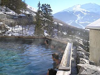 <span class="mw-page-title-main">Destination spa</span> Resort centered on a spa