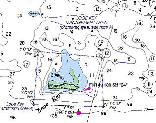 <span class="mw-page-title-main">Looe Key</span> Coral reef in the Florida Keys, US