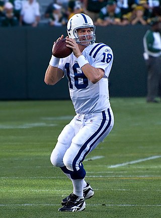 <span class="mw-page-title-main">NFL Most Valuable Player Award</span> Award for an American football player