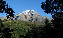 Pico Orizaba Pines.jpg