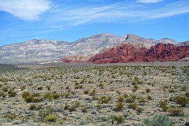 Clima arido subtropical Las Vegas